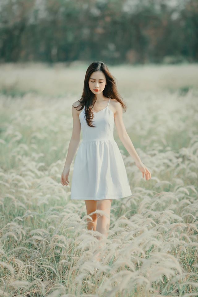二哈和他的白猫师尊动漫免费观看